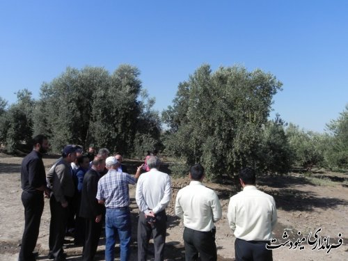 افتتاح متمرکز پروژه های جهاد کشاورزی مینودشت در ششمین روز هفته دولت 
