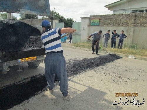 نصب 18 سطل زباله چرخدار در روستای ده حسن خان ار توابع بخش مرکزی شهرستان مینودشت 