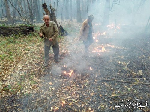فرماندار مینودشت : مهار کامل آتش در مناطق  جنگلی شهرستان مینودشت 
