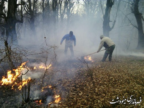 فرماندار مینودشت : مهار کامل آتش در مناطق  جنگلی شهرستان مینودشت 