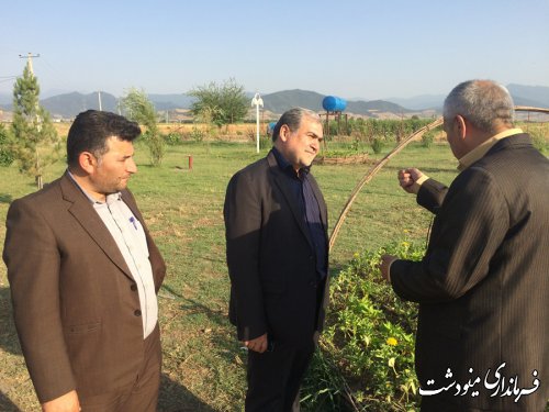 فرماندار مینودشت از پارک روستای ده عبدالله بازید کرد 