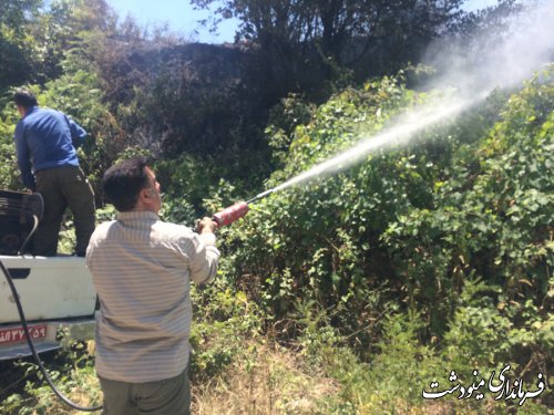 مدیر کل منابع طبیعی استان  آتش سوزی در منطقه جنگلی حسینا از توابع بخش مرکزی شهرستان مینودشت که از روز گذشته آغاز شده بود امروز 