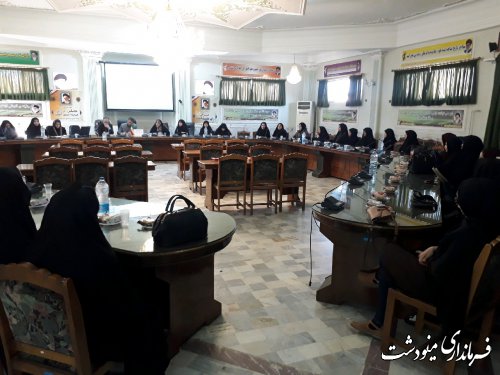 نشست انتخاباتی بانوان فرهیخته شهرستان مینودشت