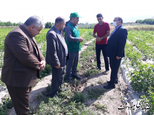 بازدید فرماندار از از پروژه های در حال احداث جهاد کشاورزی مینودشت