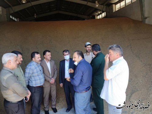 بازدید فرماندار از مراکز خرید گندم در قلعه قافه