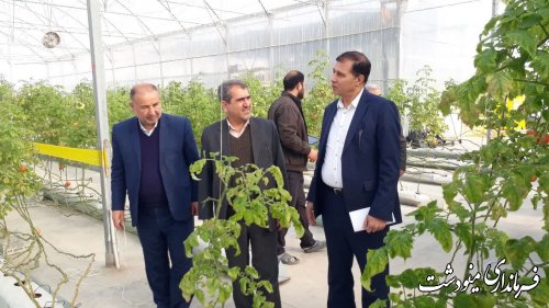 بازدید فرماندار از گلخانه ها در راستای رفع موانع تولید